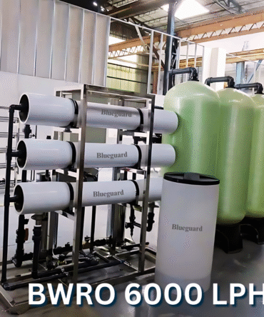 Blueguard RO 6000 LPH Plant